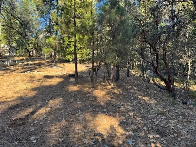 2698 Country Club Drive, Arnold, CA 95223 - #3