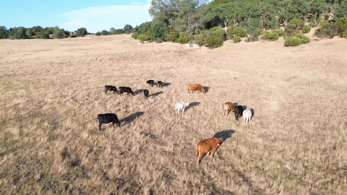 12244 S Camanche Parkway South, Burson, CA 95225 - #1