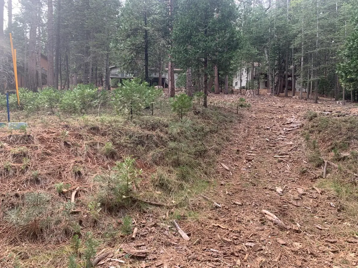 1430 Gloria Drive, Arnold, CA 95223 - #1