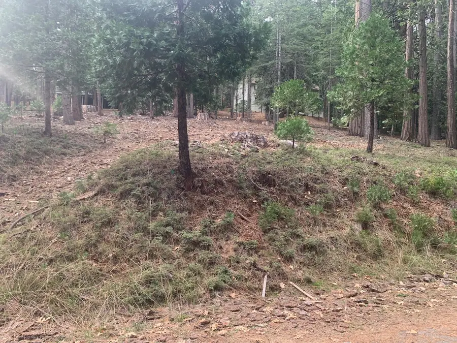 1430 Gloria Drive, Arnold, CA 95223 - #2