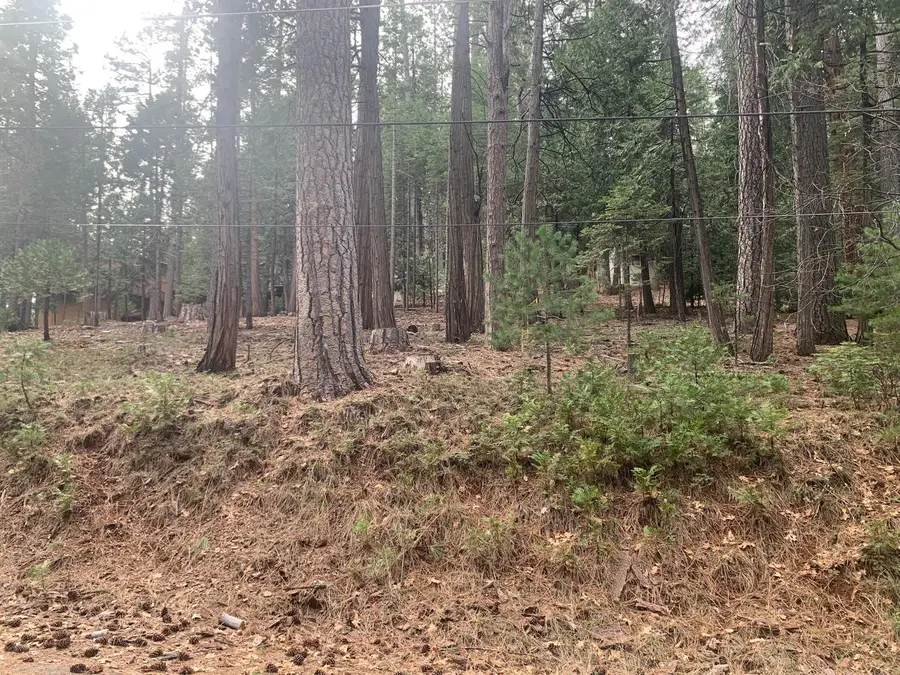 1430 Gloria Drive, Arnold, CA 95223 - #3