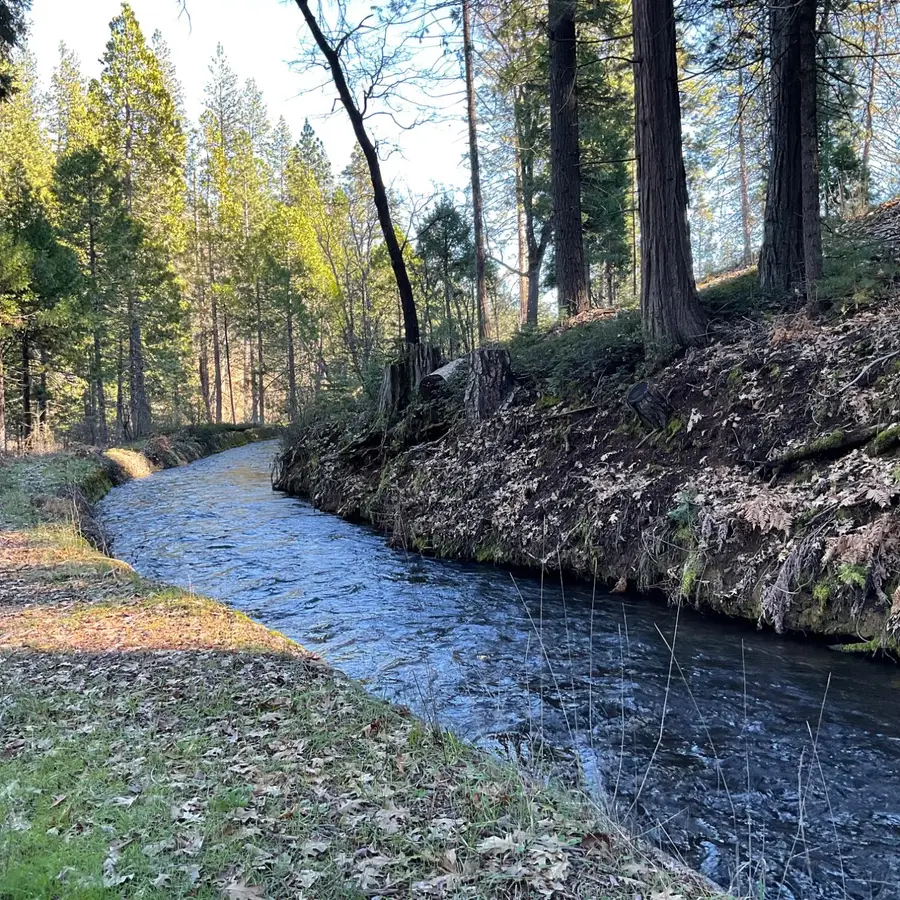 369 Canyon View Drive, Hathaway Pines, CA 95233 - #2