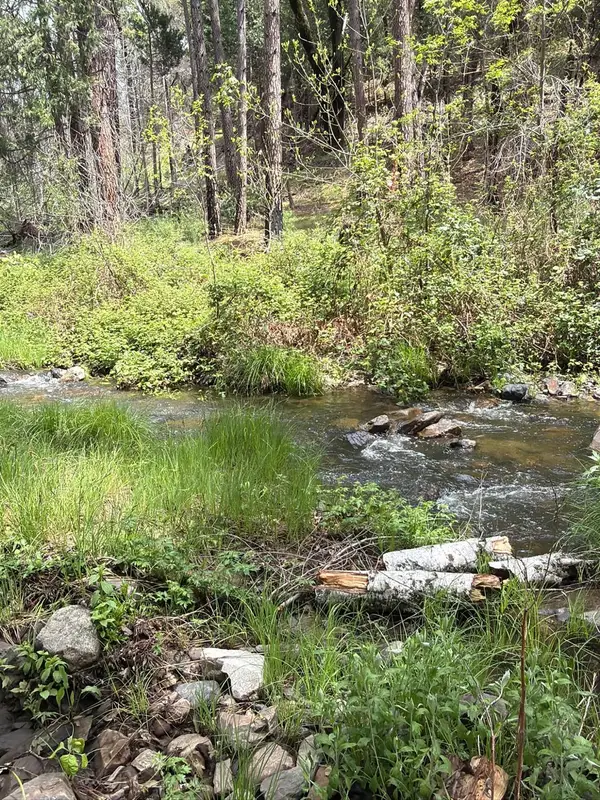 39 Anderson Valley Road, Coulterville, CA 95311