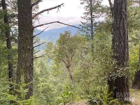 19800 Old Cazadero Road, Guerneville, CA 95446 - Image #1