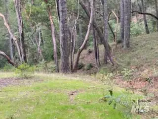 19800 Old Cazadero Road, Guerneville, CA 95446 - Image #2