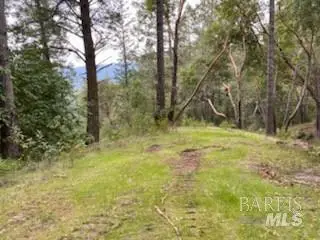 19800 Old Cazadero Road, Guerneville, CA 95446 - Image #3