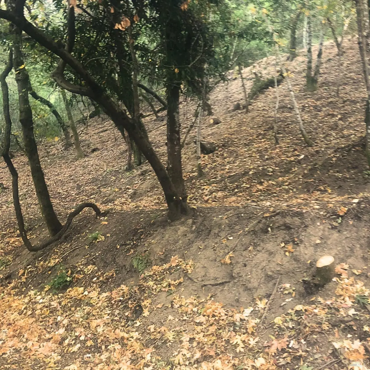 2016 Riverview Drive, Healdsburg, CA 95448 - Image #1