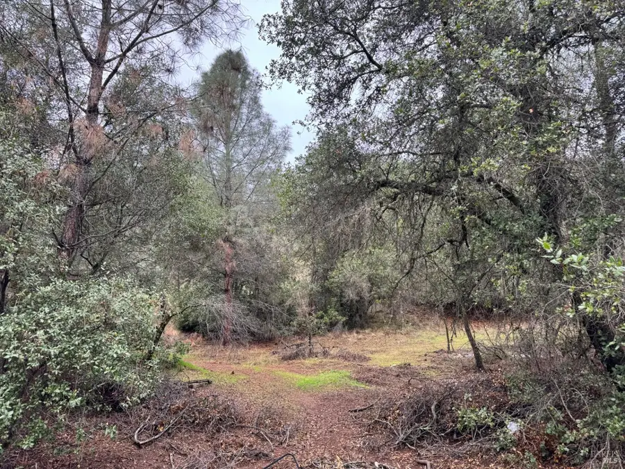 12332 Mountain View Drive, Clearlake Oaks, CA 95423 - Image #3