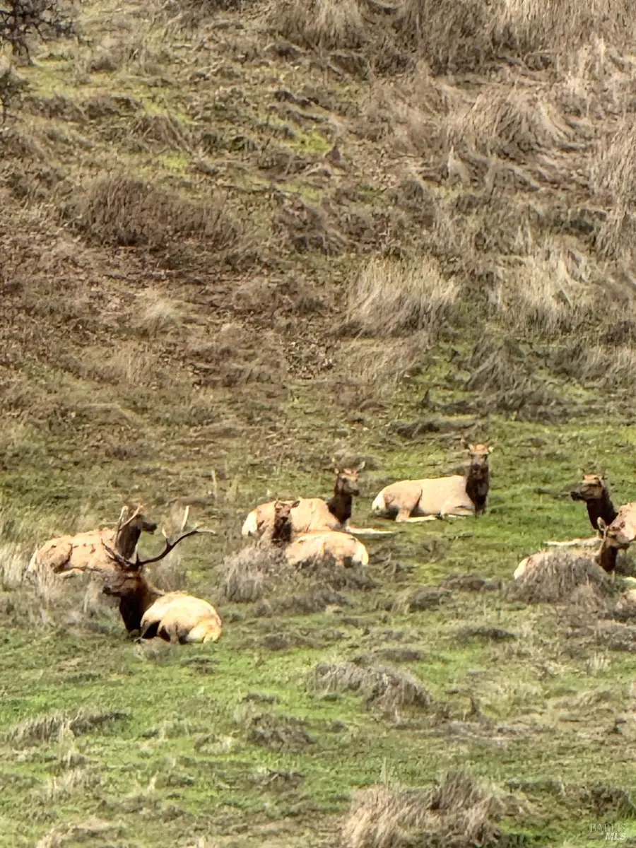 12336 Mountain View Drive, Clearlake Oaks, CA 95423 - Image #2