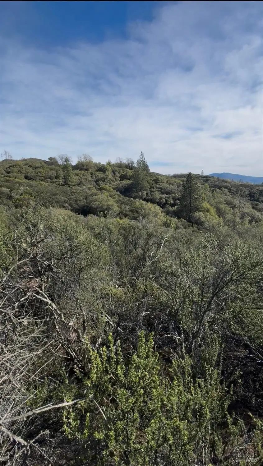 7700 8 W 25 Trail, Lucerne, CA 95458 - #3