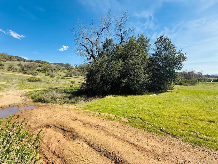 7535 Lake Street, Nice, CA 95464 - #2