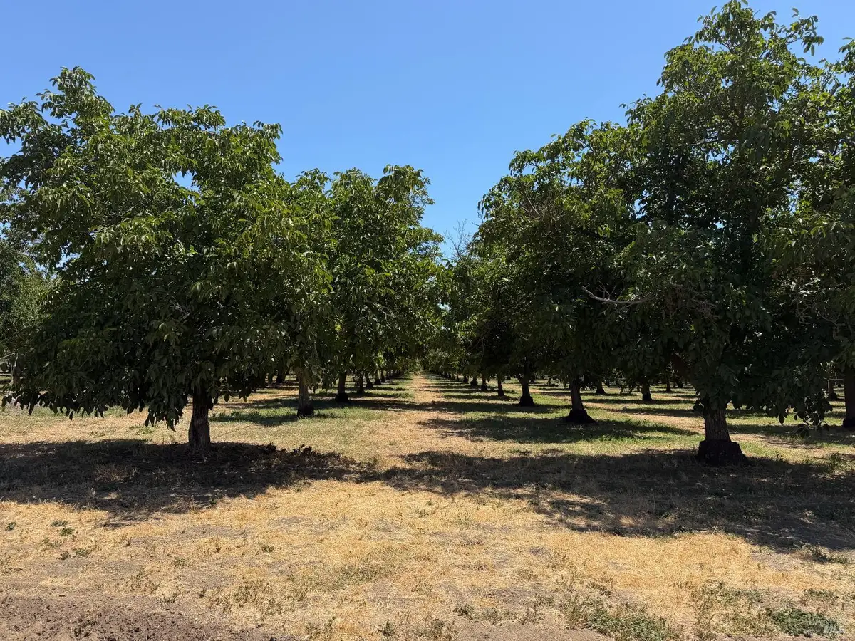 0 Putah Creek Road, Winters, CA 95694 - #1
