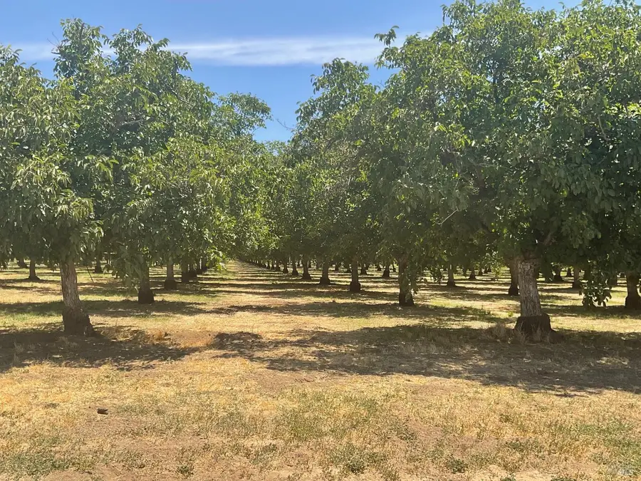 0 Putah Creek Road, Winters, CA 95694 - #3