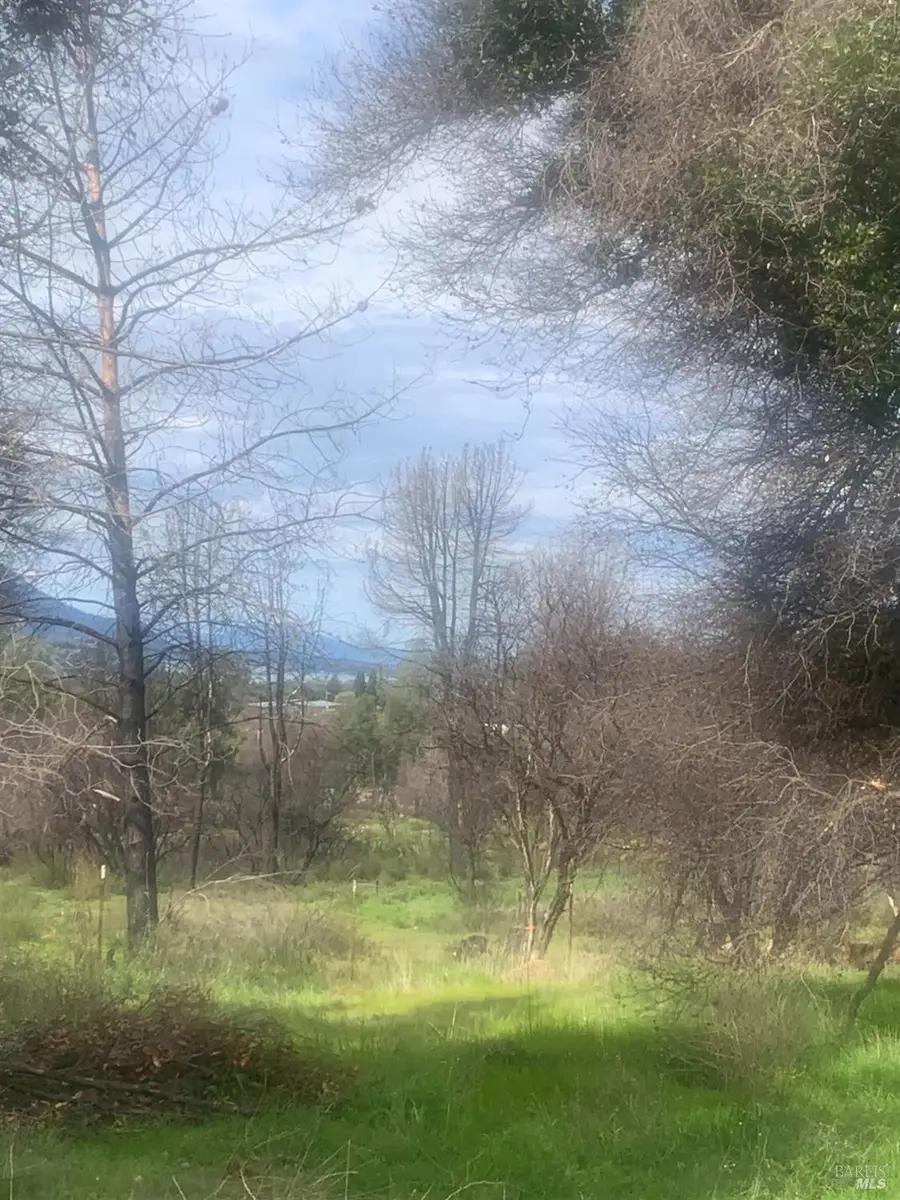 16315 10th Avenue, Clearlake, CA 95422 - #2