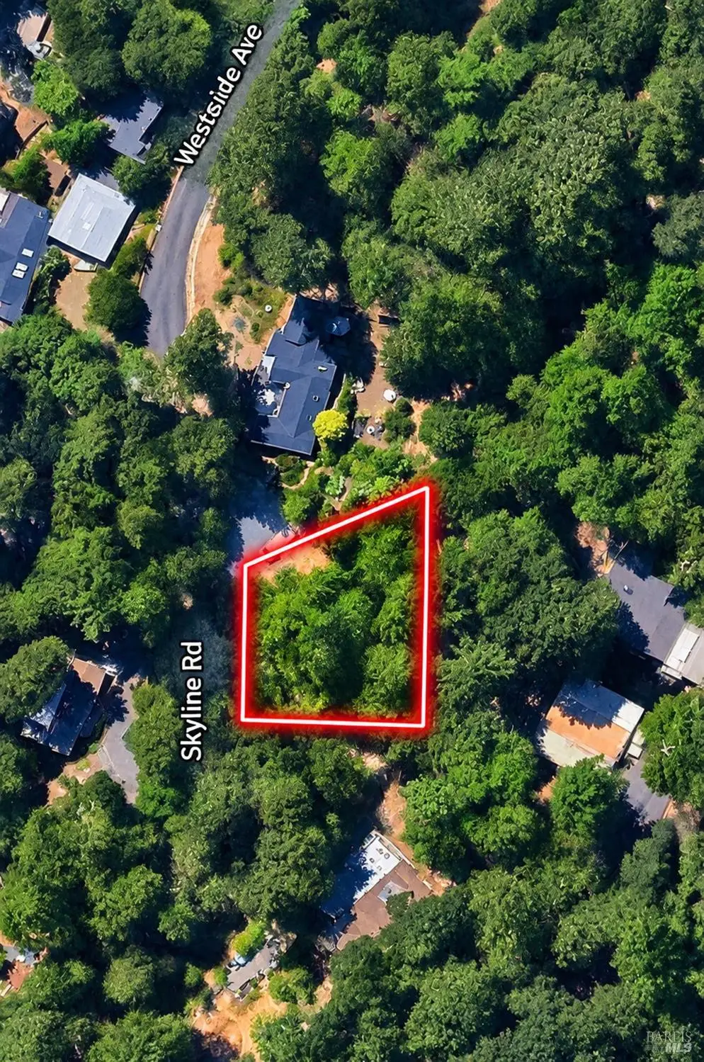 11227 Westside Avenue, Forestville, CA 95436 - #1