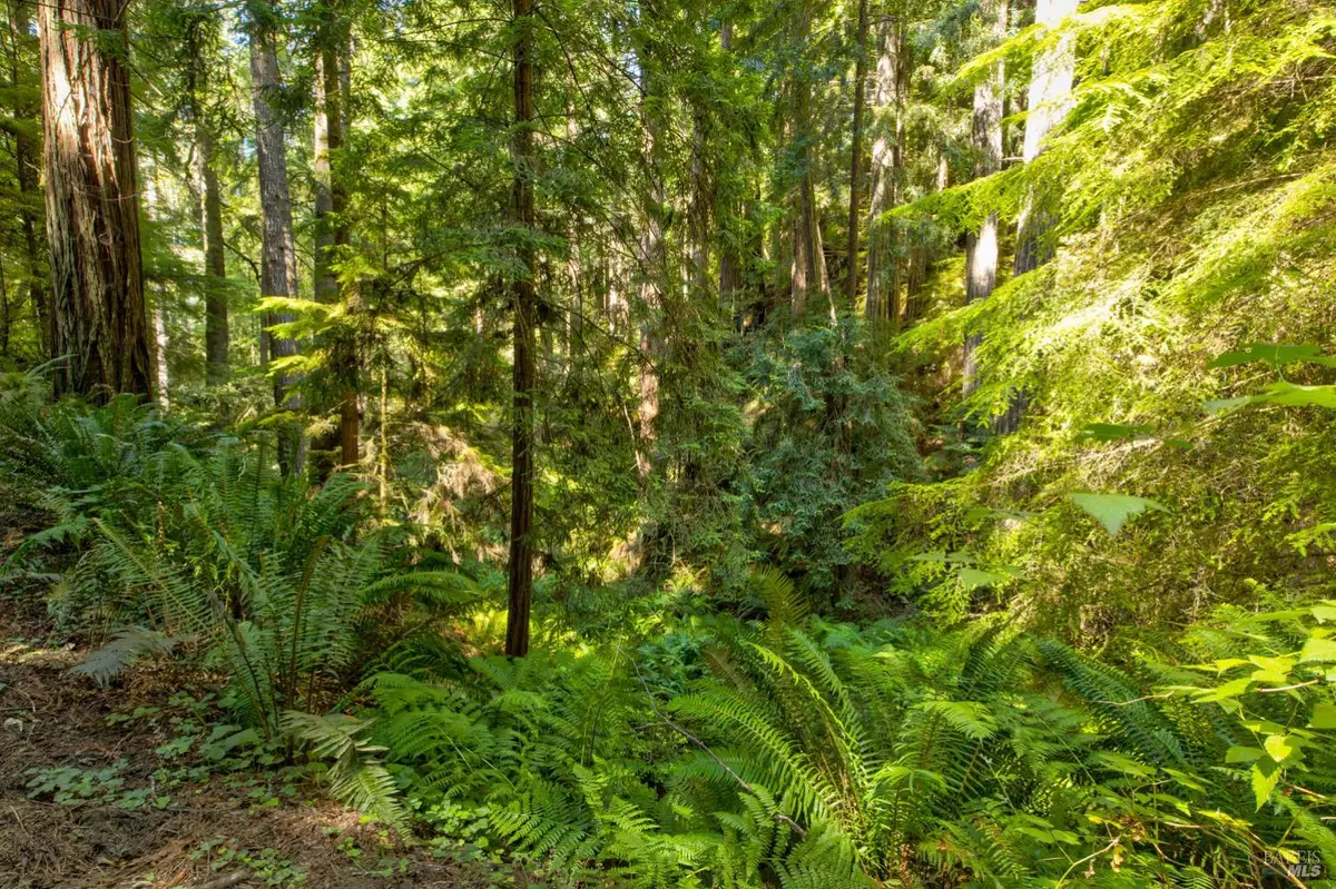 33170 Frog Pond Road, Little River, CA 95456 - #1