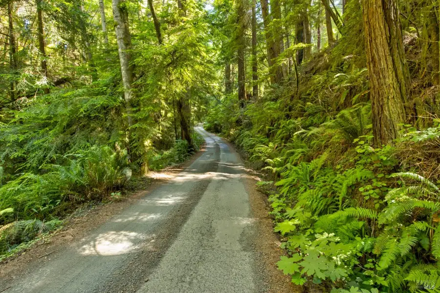 33170 Frog Pond Road, Little River, CA 95456 - #2
