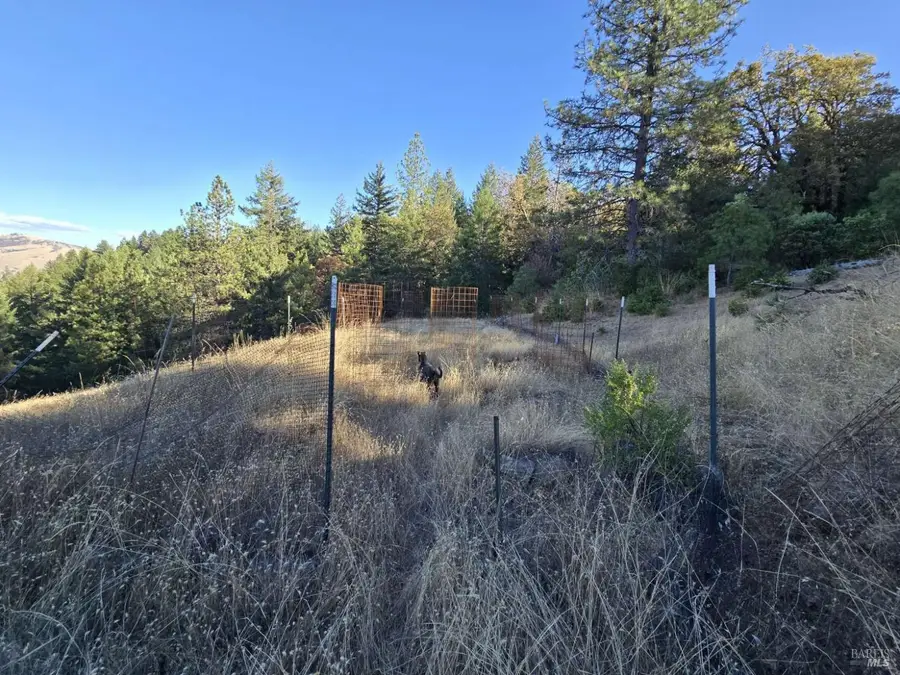 8100 Simmerly Road, Laytonville, CA 95454 - #2