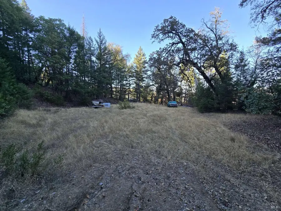 8100 Simmerly Road, Laytonville, CA 95454 - #3