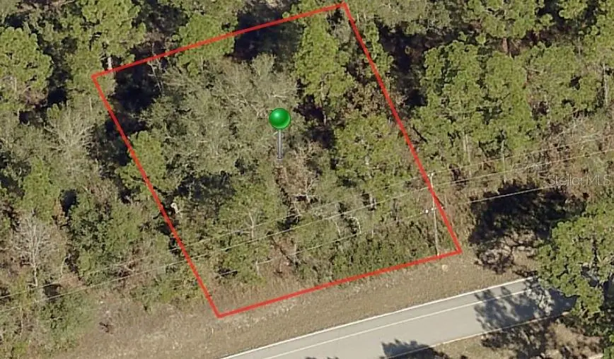 9234 N Citrus Springs Boulevard, Citrus Springs, FL 34433 - Image #1