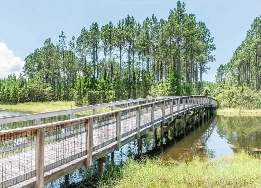 Creek Pines Circle, Wewahitchka, FL 32465 - Image #1