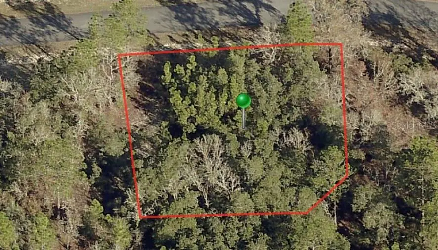 3198 W Montgomery Lane, Citrus Springs, FL 34433 - #2