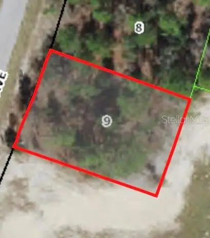 9805 N Emellia Avenue, Citrus Springs, FL 34433 - #1