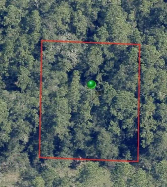 225 E Enfield Lane, Citrus Springs, FL 34434 - Image #2