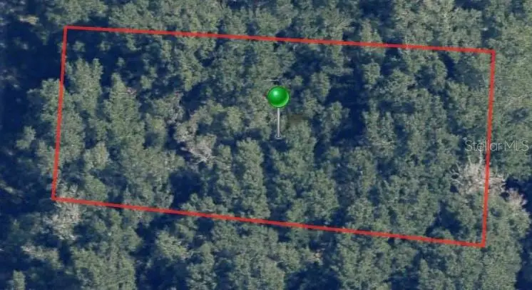 8317 N Wallingford Avenue, Citrus Springs, FL 34434 - Image #2