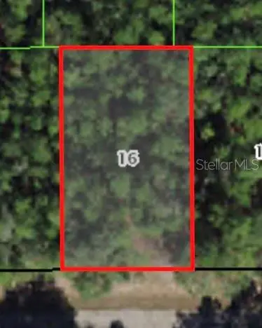 368 E Mc Faddin Place, Citrus Springs, FL 34434 - Image #1