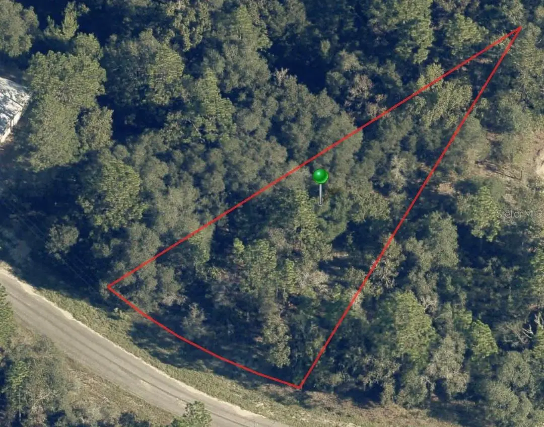 6956 N Lime Drive, Citrus Springs, FL 34433 - #1