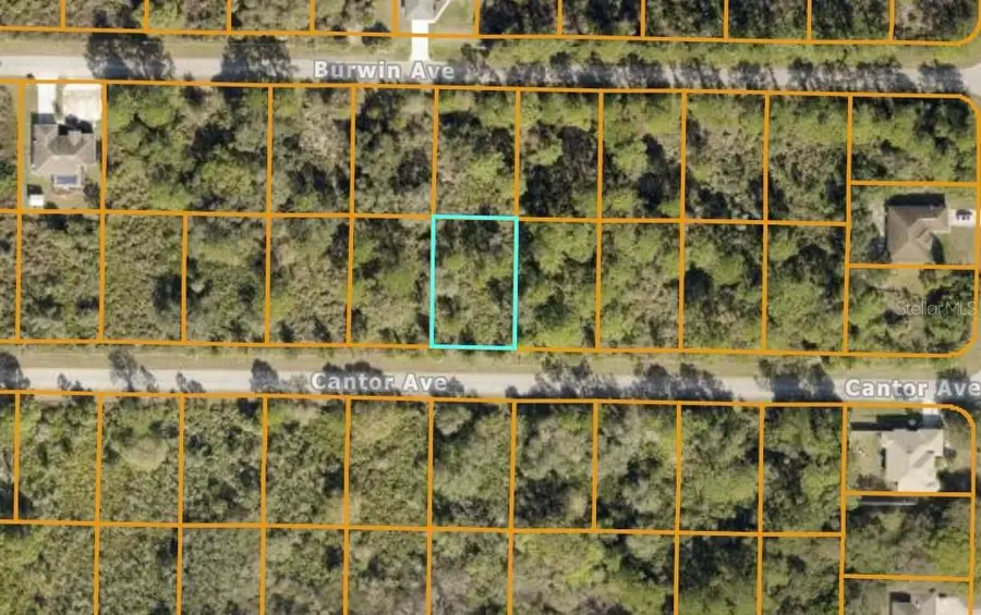 Cantor Ave, North Port, FL 34291 - Image #2