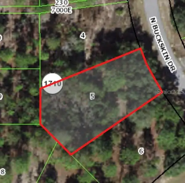 6664 N Buckskin Drive, CITRUS SPRINGS, FL 34434