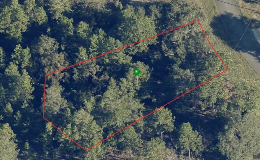 6664 N Buckskin Drive, Citrus Springs, FL 34434 - Image #2