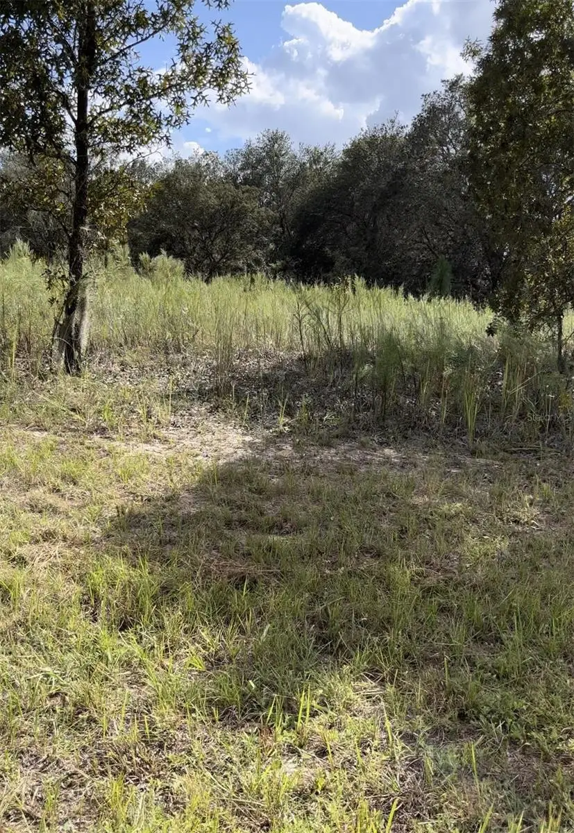 1656 W Hampshire Boulevard, Citrus Springs, FL 34434 - Image #1