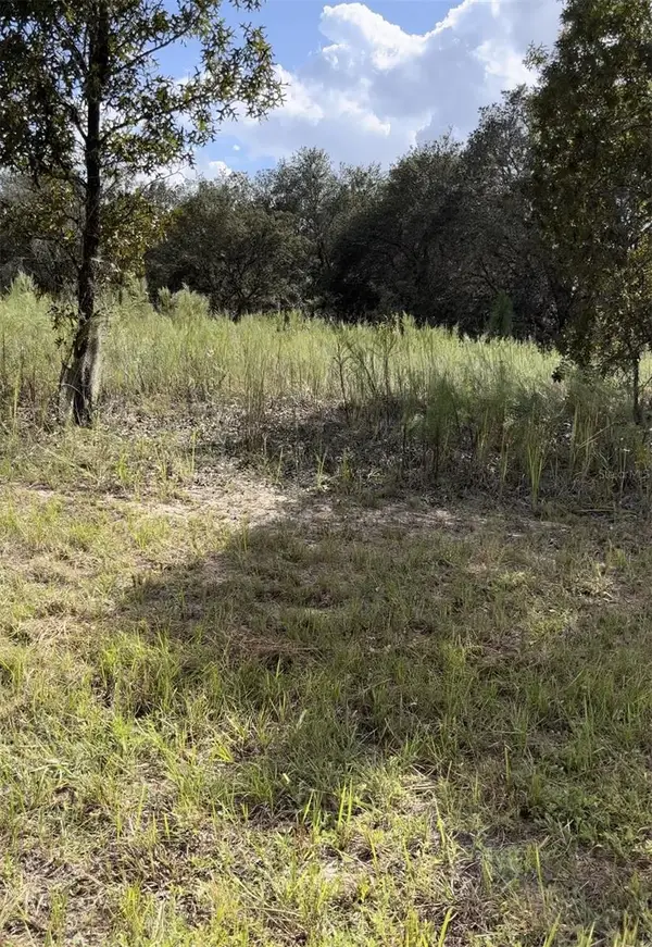 1656 W Hampshire Boulevard, CITRUS SPRINGS, FL 34434