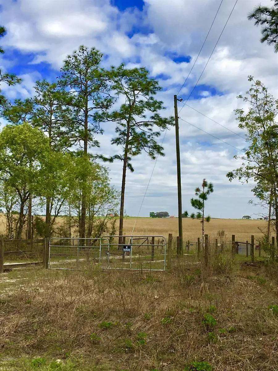 NW Falcon Avenue, Dunnellon, FL 34431 - Image #1