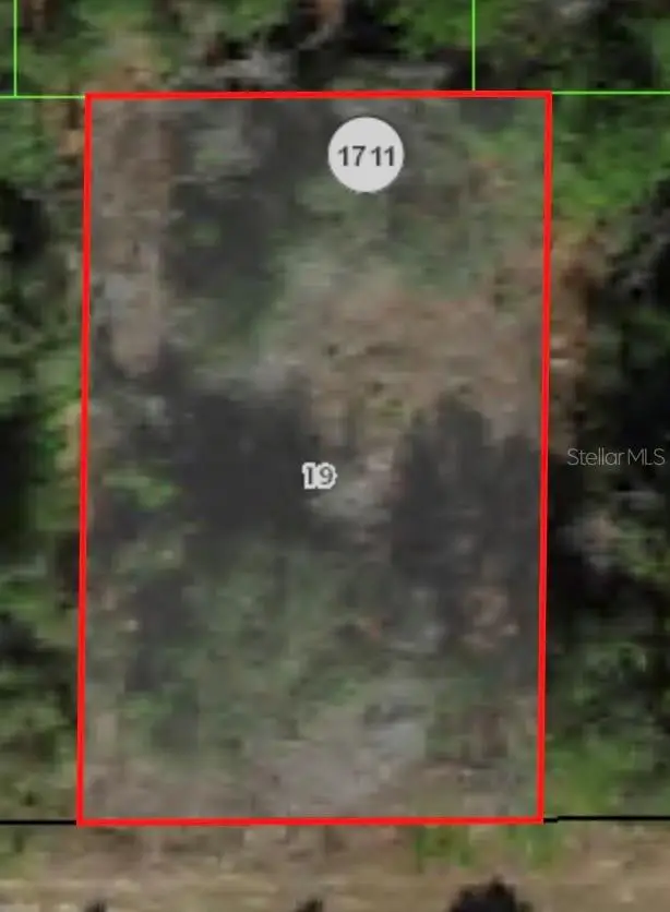 1729 W Pendleton Street, Citrus Springs, FL 34434 - Image #2