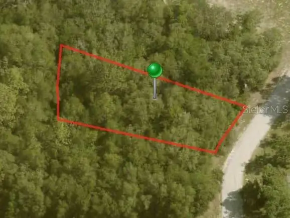 10112 N Halsey Way, Citrus Springs, FL 34434 - Image #1