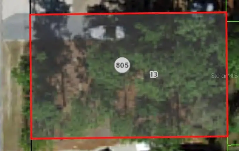 1313 W Kenmore Drive, Citrus Springs, FL 34434 - Image #2