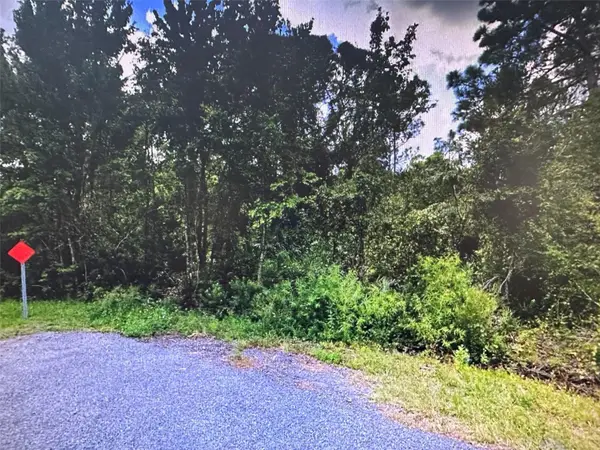 Hines Drive, OKEECHOBEE, FL 34972