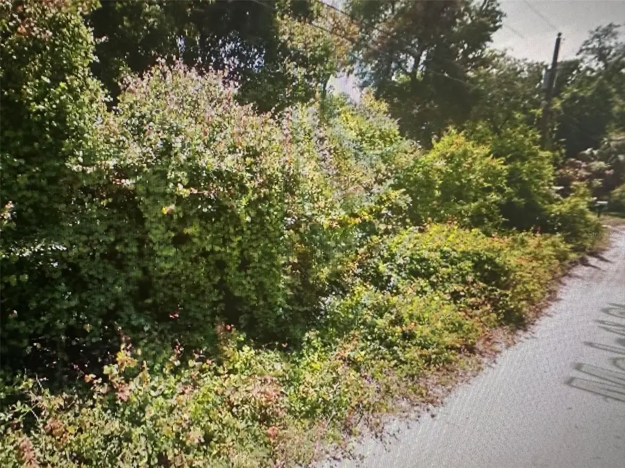 Malati Street, New Port Richey, FL 34654 - Image #3