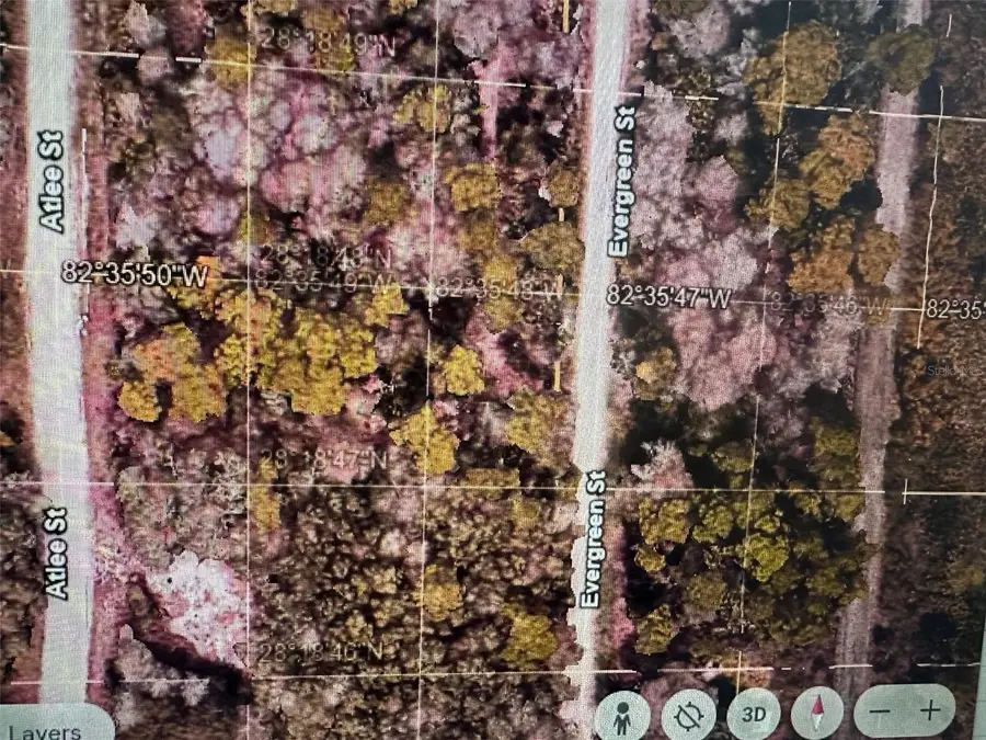 Evergreen Street, New Port Richey, FL 34654 - Image #2