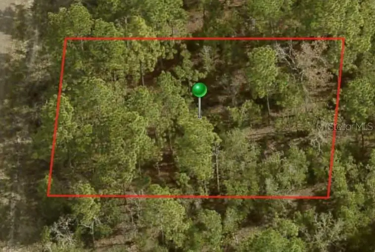 6581 N Winlock Terrace, Citrus Springs, FL 34433 - Image #1