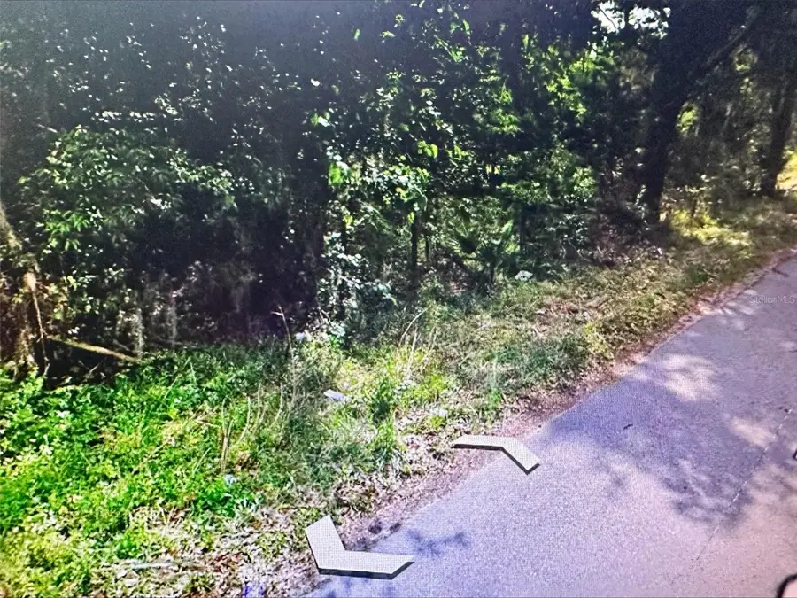 409 W Towles Avenue, Palatka, FL 32177 - Image #2