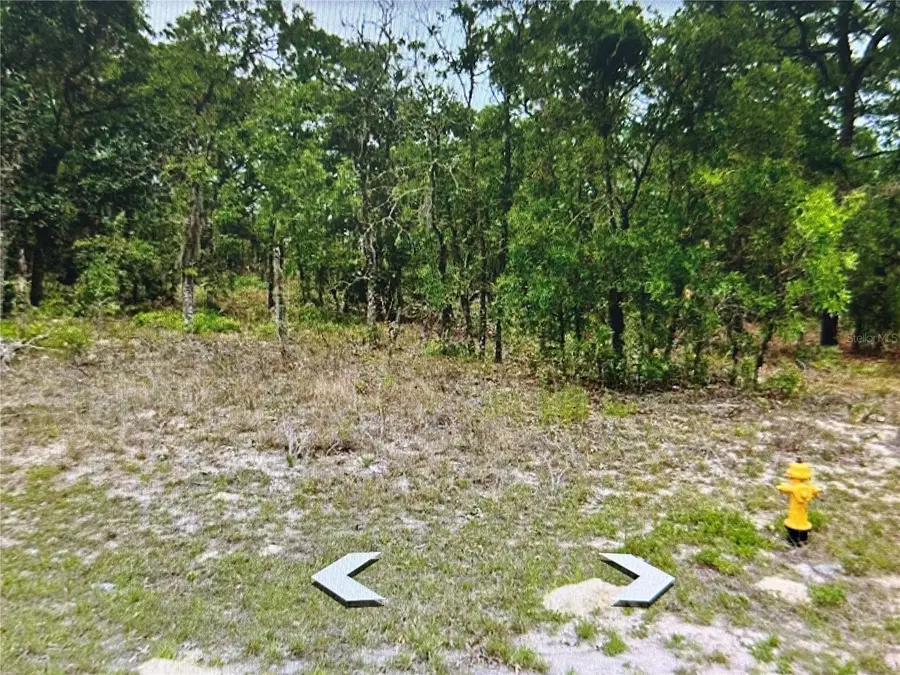 2466 W Swanson Drive, Citrus Springs, FL 34434 - Image #2