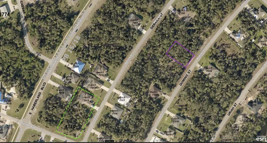 1143177106 Dominic Street, North Port, FL 34288 - Image #2