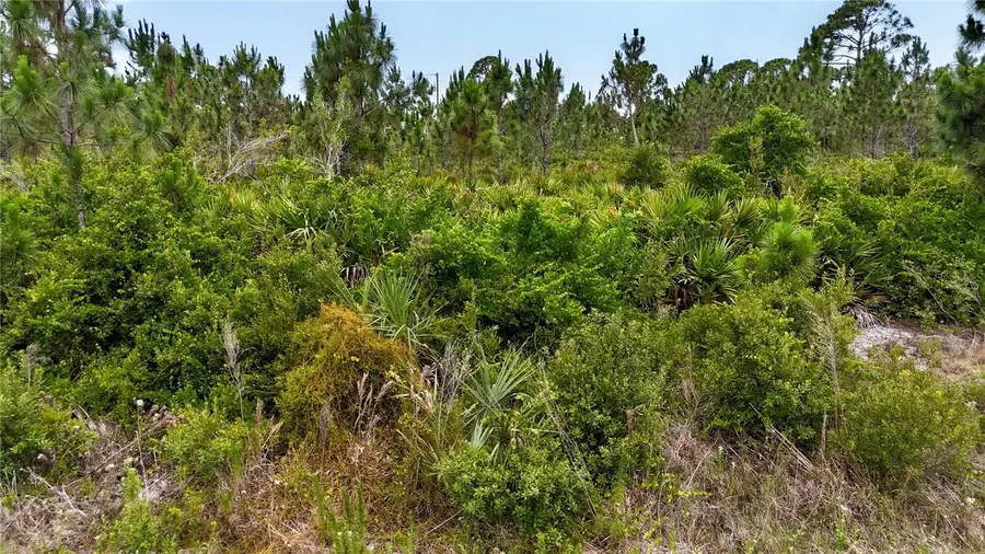 14065 Newson Lane, Port Charlotte, FL 33981 - Image #3