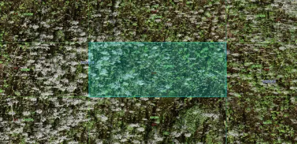 0 Old Grade Road, POLK CITY, FL 33868