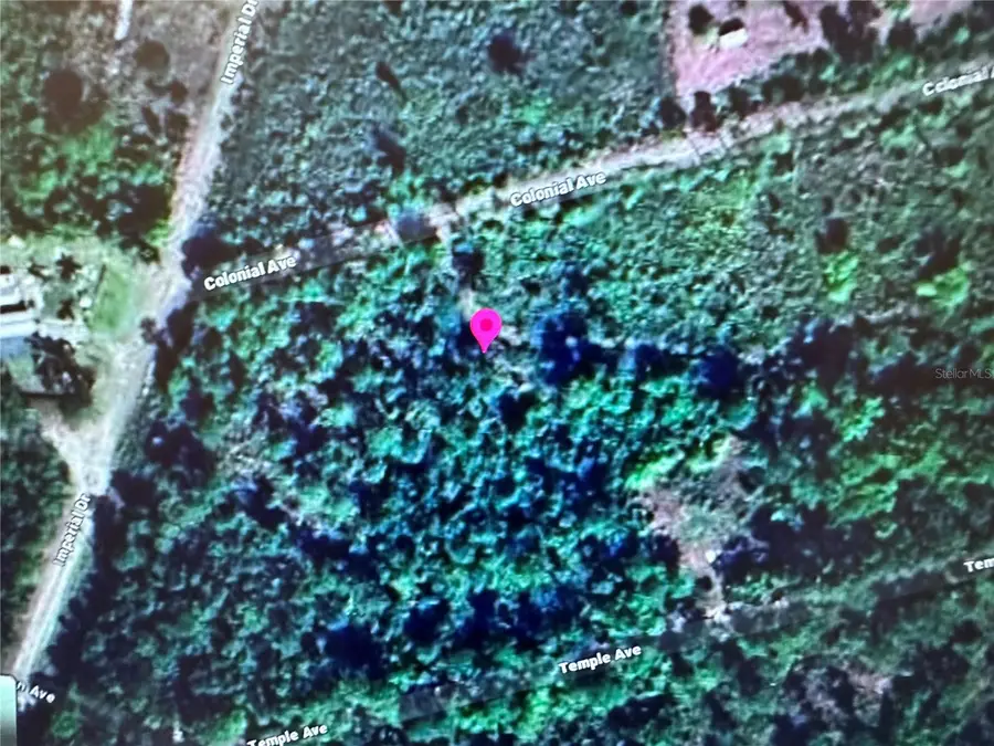 225 Colonial Avenue, Crescent City, FL 32112 - Image #2